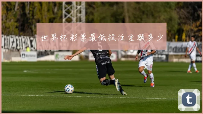 世界杯彩票最低投注金额多少