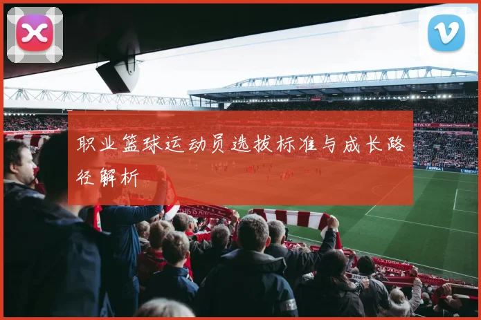 职业篮球运动员选拔标准与成长路径解析