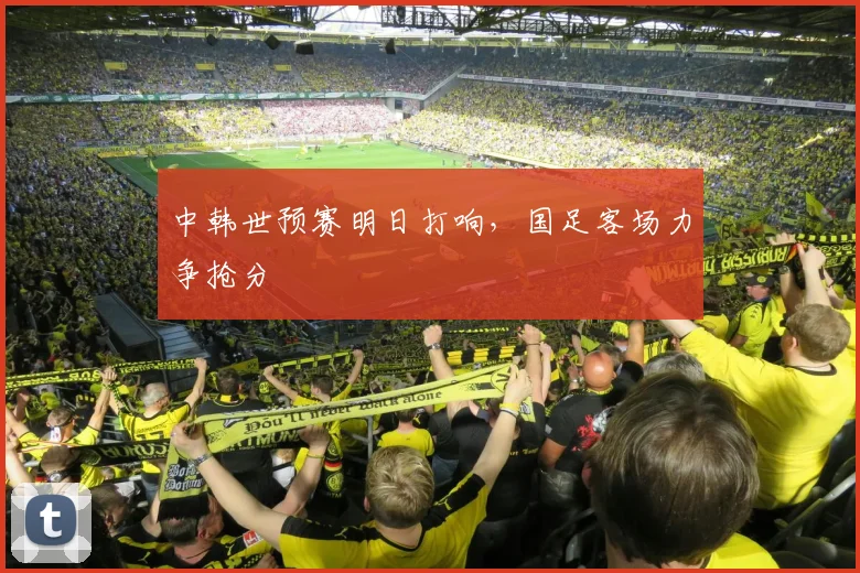 中韩世预赛明日打响，国足客场力争抢分
