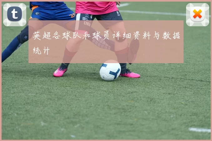 英超各球队和球员详细资料与数据统计