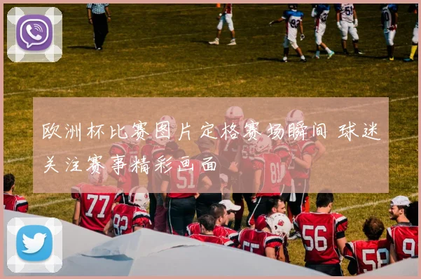 欧洲杯比赛图片定格赛场瞬间 球迷关注赛事精彩画面