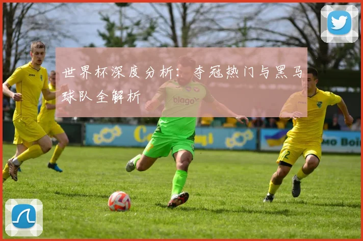世界杯深度分析：夺冠热门与黑马球队全解析